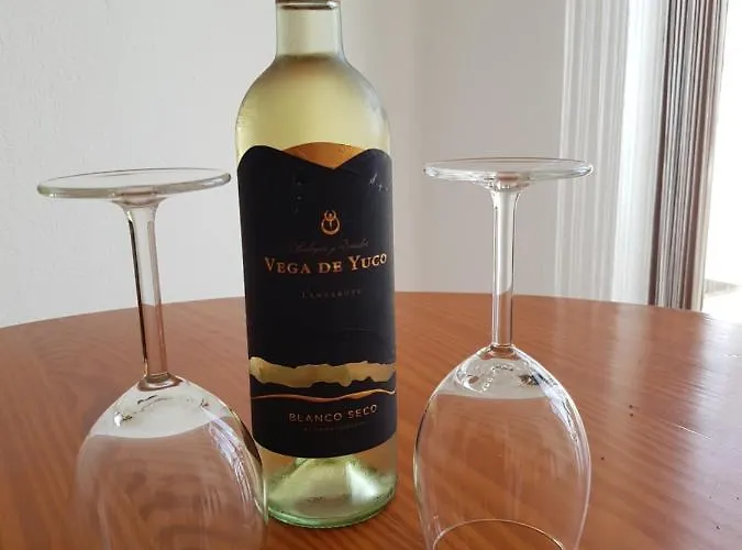 Vila Casa Olgita *